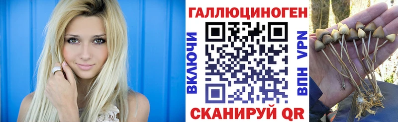 Галлюциногенные грибы GOLDEN TEACHER  как найти наркотики  Давлеканово 